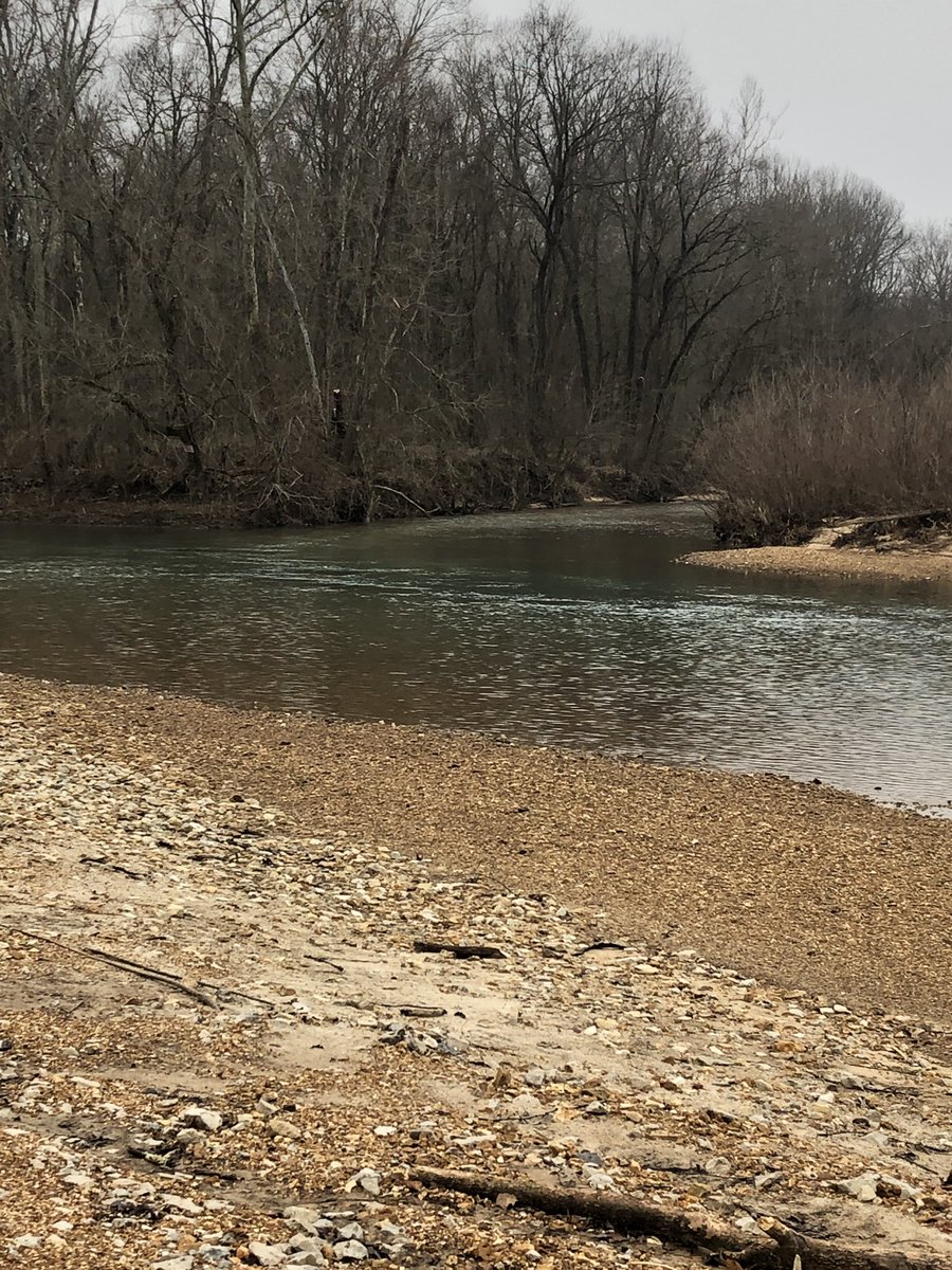 The Huzzah is absolutely beautiful anytime of the year!  #wannafloatwithme #goodtimesallthetime #huzzahriver #canoeing