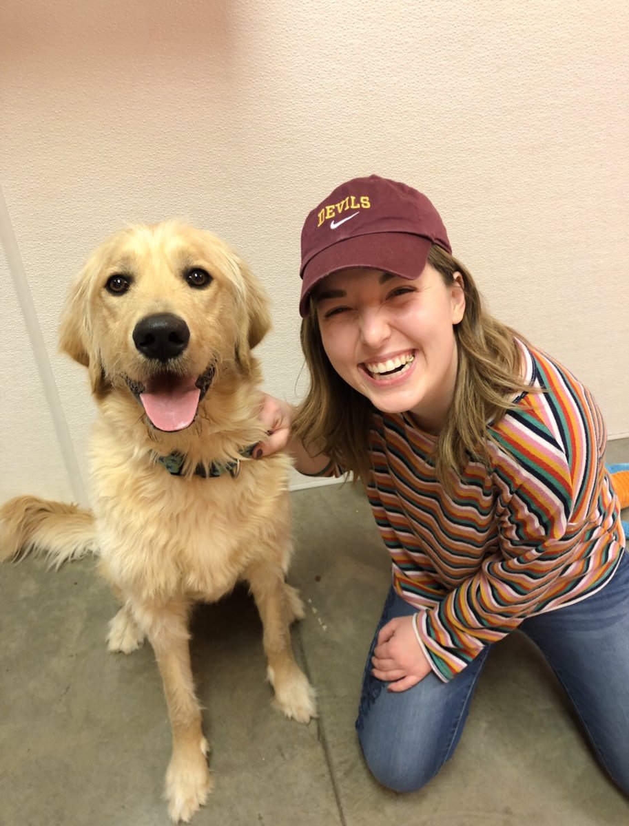MeganABC15's tweet photo. Today marks two months since I adopted this little boy from @MCanimalcare! I think we were always meant to be. Henry is a reminder that everything happens for a reason. Thank you for making it so easy to love you! You are always home with me ❤️ https://t.co/imv6iojA0R