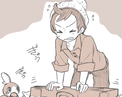 剣盾主人公くんの第一印象が「かばんでっかい!」だったのであの大きなかばんが必要になるくらい心配性で用心深い性格になりそう。盾担当。 