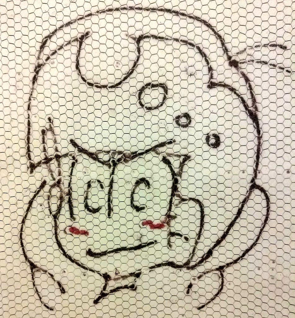 2カラーせんせい
