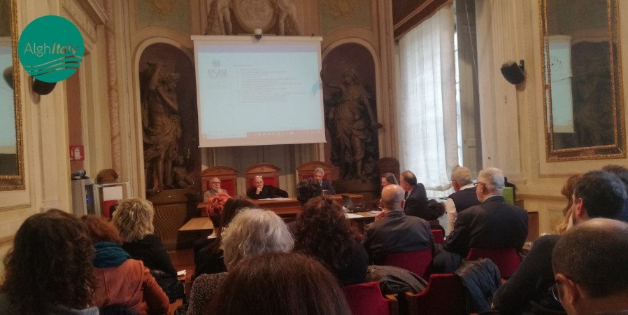 AlghItaly tweet media