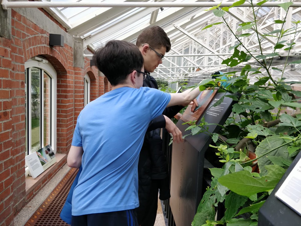 AutonomieInfo's tweet photo. What Next? programme young people enjoyed their walk to Belfast Botanic Gardens and visit to the wonderfully restored Tropical Ravine on Thursday.
#WhatNextprog
#natureramble
#BelfastCityCouncil
#BelfastBotanicGardens https://t.co/oYny2zDRLF