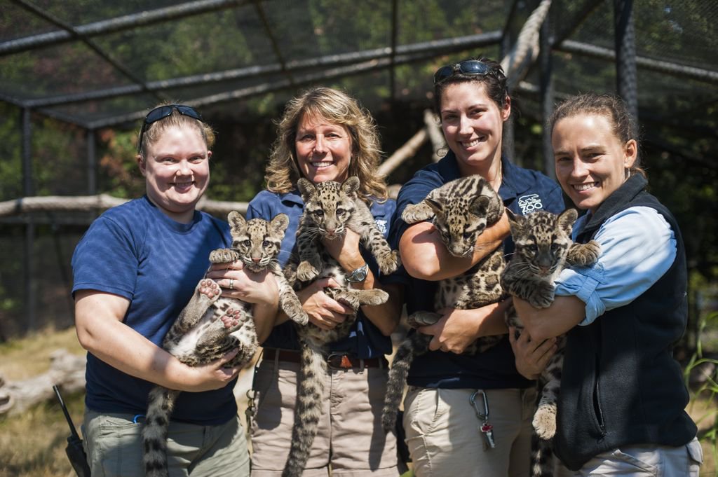 Point Defiance Zoo & Aquarium tweet media
