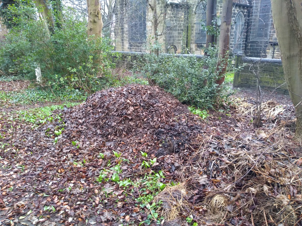The graveyard at St Stephens church is overflowing with litter, we filled two bags full today and only really scratched the surface, but every little helps! 

#KirkstallKleanUp #Environment #Litter #Rubbish #Kirkstall