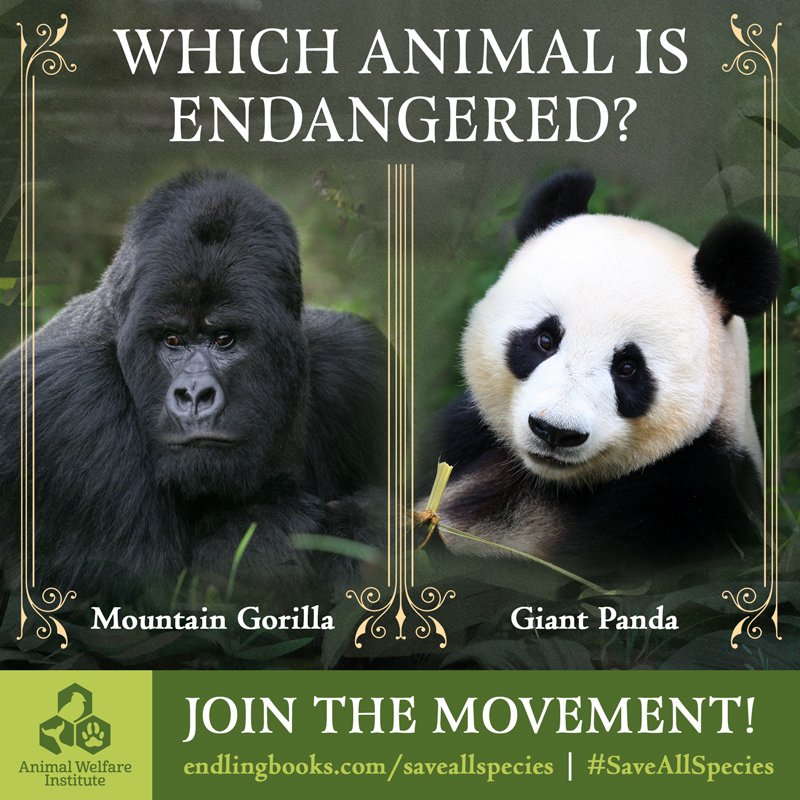 HarperStacks's tweet photo. With the #EndangeredSpeciesAct under attack, we’re partnering with @AWIOnline to raise awareness about the law’s importance and the plight of endangered species worldwide. To find out what you can do to help, visit https://t.co/PjUZAHjteS #Endlingbook #EndangeredSpeciesAct https://t.co/H3eg8NTY1u