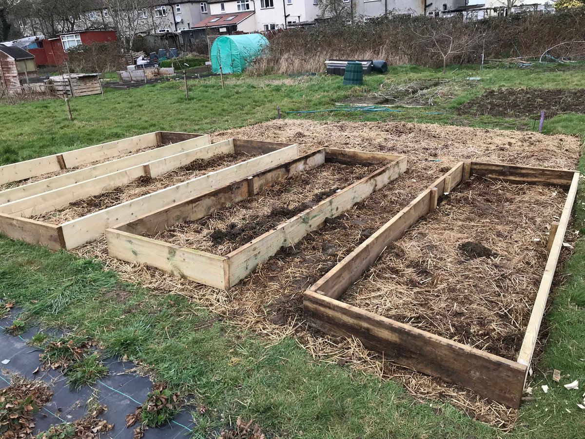 ChefJGray's tweet photo. Allotment beds finished now just  for the poly tunnel #montydon #growyourown #GardenersWorld https://t.co/eKaJlnYWak