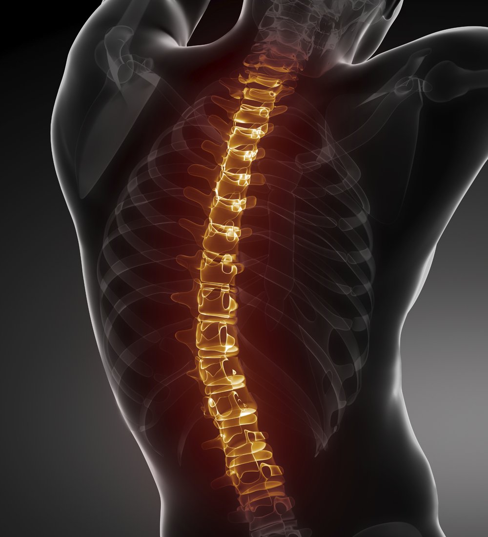 “Approval of Stem Cell Therapy for #SpinalCordInjury: Premature?” technologynetworks.com/biopharma/news…. #Technology #Research #StemCell