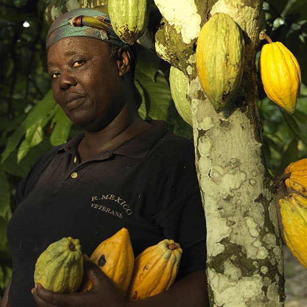 FairtradeUK's tweet photo. In Côte d'Ivoire traditional gender roles are slowly changing.

Meet the women cocoa farmers growing in courage and standing tall with men >> https://t.co/WV712TONqu
#InternationalWomensDay2019 
#SheDeserves 

#FairtradeFortnight #TradeFairLiveFair #IWD https://t.co/iXK7SmIgoy