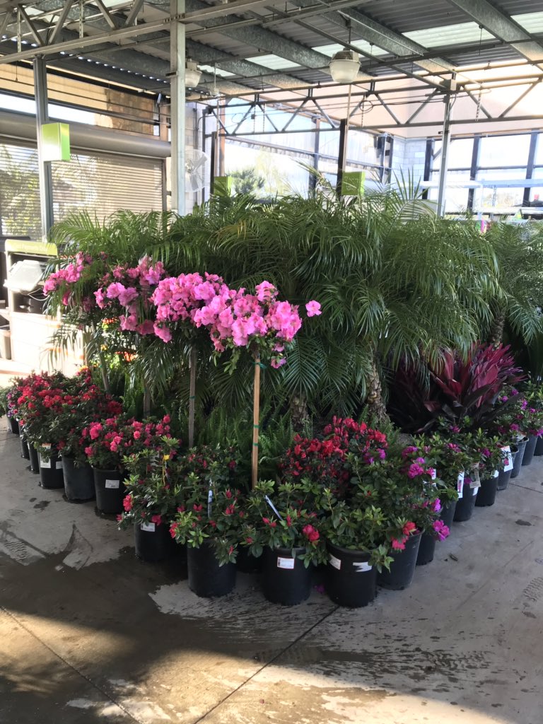 Steve Combs tweet media