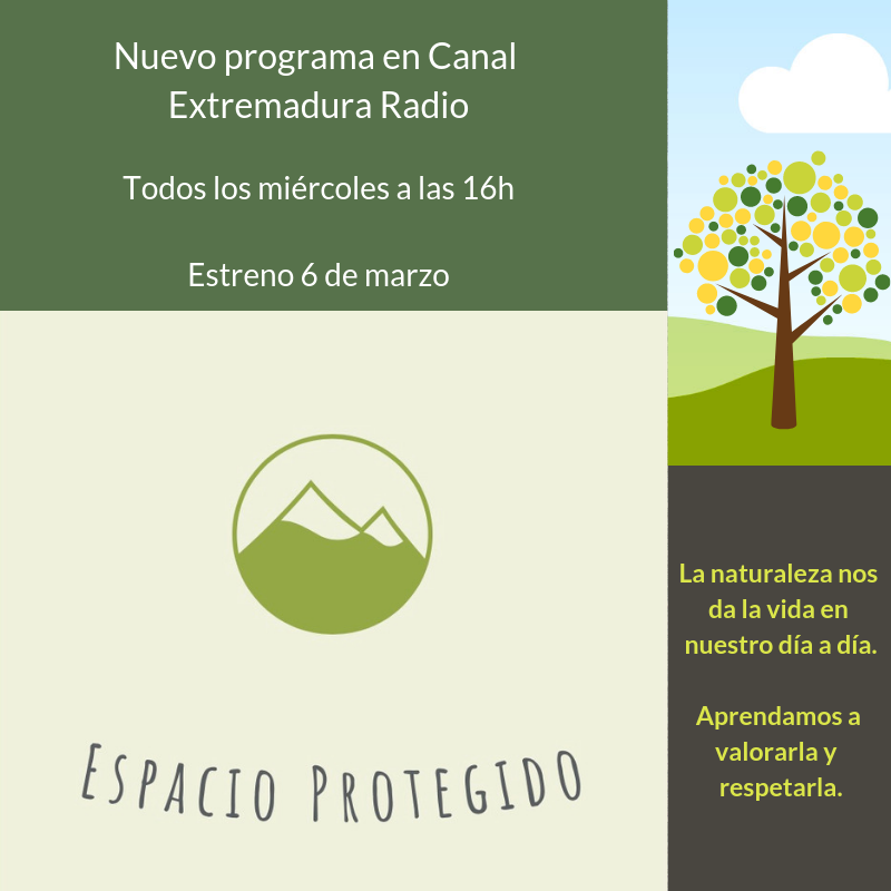 Jesús Teniente tweet media