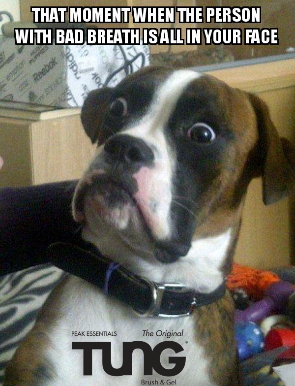 TUNGbrush's tweet photo. We can all relate to this face... #FunnyFriday #TUNGBrush #BadBreath #Kisses #FreshBreath #BeYourAdventure #Diabetes #10second #10SecondDifference #FridayFunny #Humor https://t.co/m4z6nLG8ne