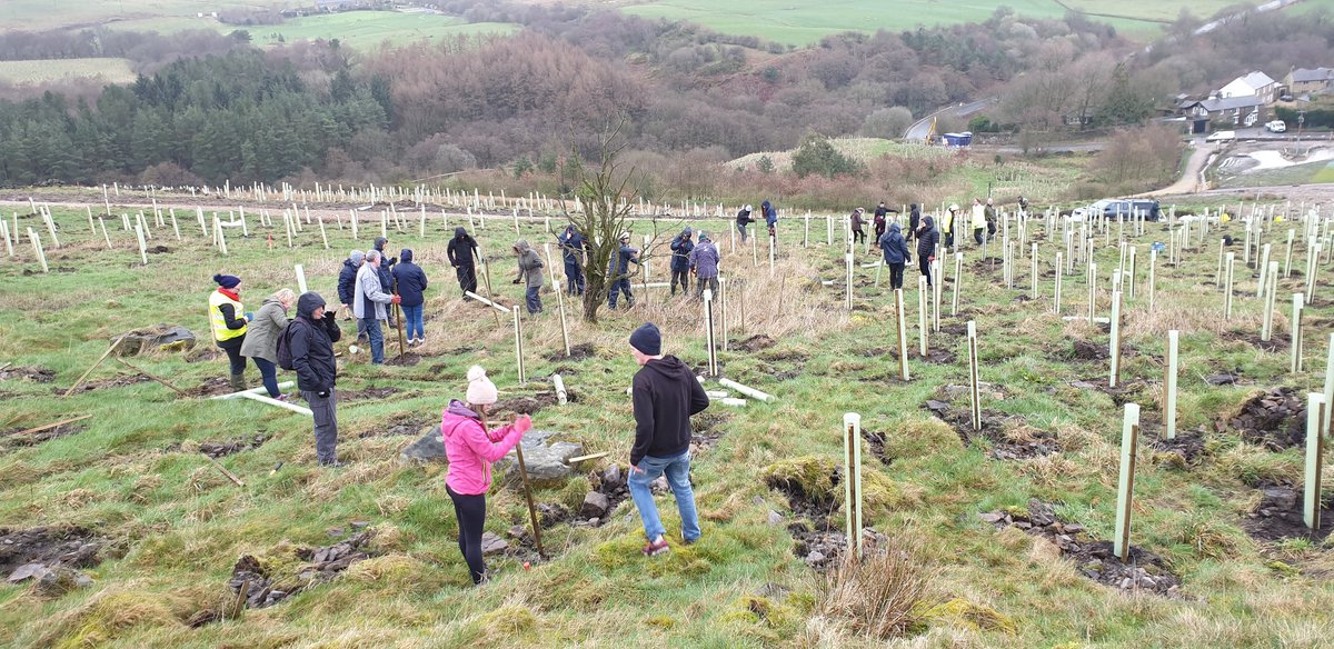 WTrustRuss's tweet photo. Great day with @PhoenixFutures1 planting a further 600 trees. Well done everyone!!! #smithillsplanting #hlfsupported https://t.co/jMFZXl7eak