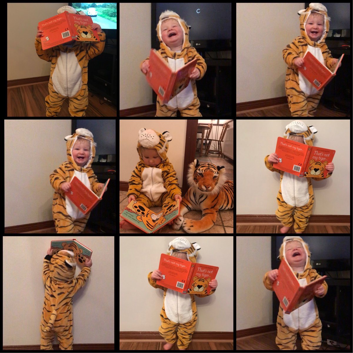 St. Patrick's English tweet media