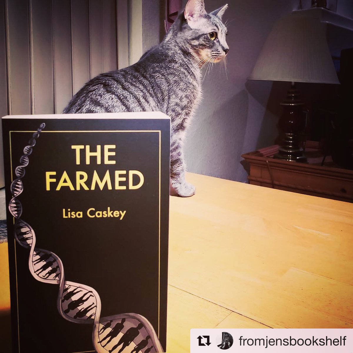 Lisa_Caskey's tweet photo. I’m SWOONING seeing all these pics of #TheFarmedTrilogy after a wonderful wknd at the #TFoB2019!! 🖤🌵📚 #dystopian #dystopianscifi #dystopianfiction #author #indieauthor #indie #amwriting #author #writer #indiebooks #selfpublishing #love #bookish #bookstagram #scifi #cyberpunk https://t.co/nLksmkhl12