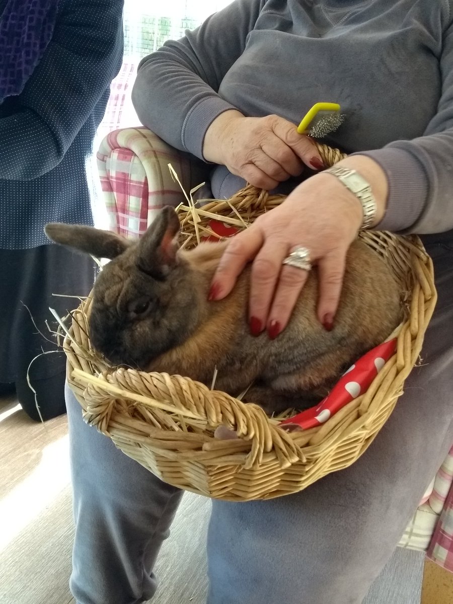 Loving our partnership with <a href="/GatewayHousing/">Gateway Housing</a> ... #animalassisted #greencare #nature #workshops for the community of East London....