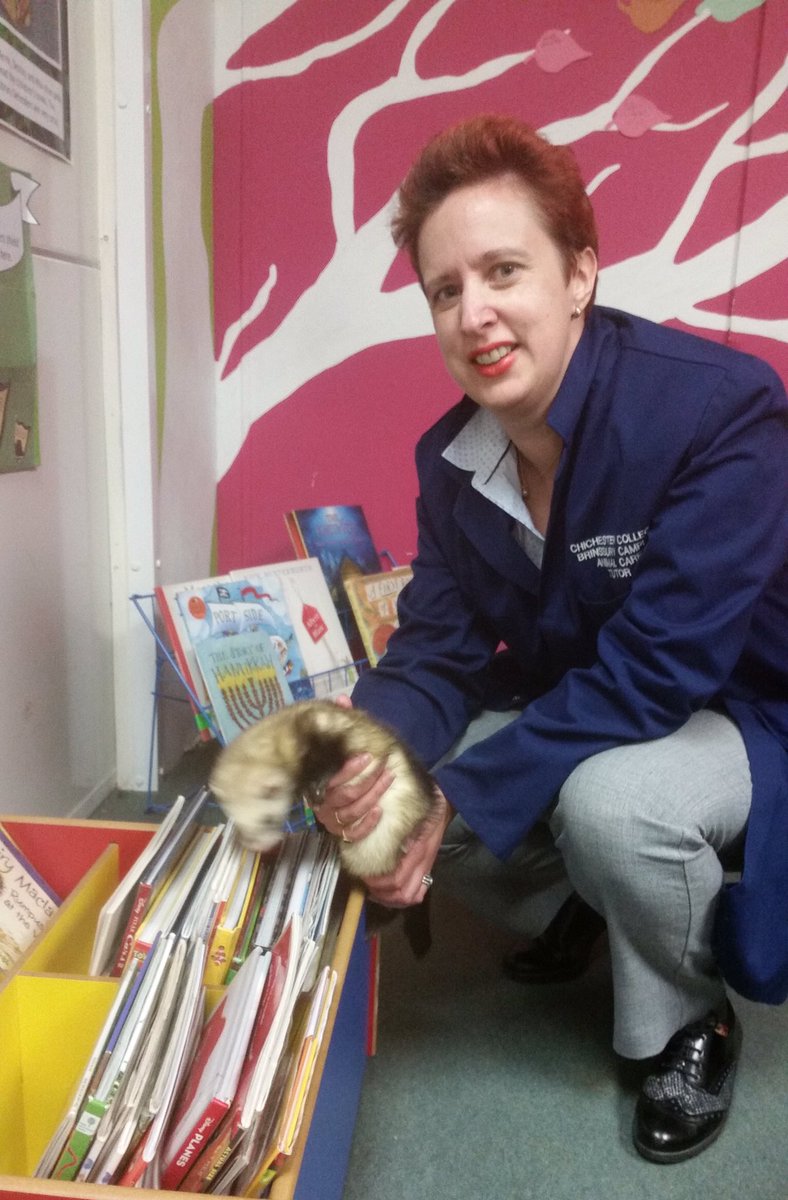 CcgLibrary's tweet photo. Confirmation that ferrets are, indeed, versatile and flexible. Hereโs Morticia simultaneously showing her support for...
#BooksAndBeasts #ReadingAhead
#IWD2019 #BalanceForBetter
#LoveYourLibrary
Thatโs one smart ferret. ๐๐๐
#InternationalWomensDay
@womensday https://t.co/2DB85iCDiU