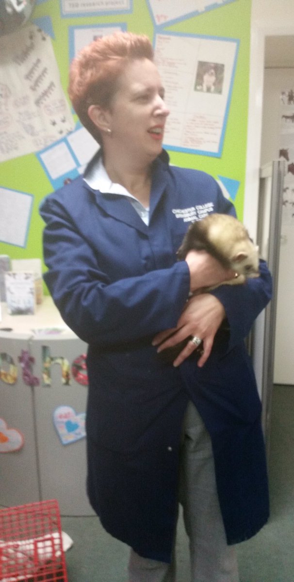CcgLibrary's tweet photo. Confirmation that ferrets are, indeed, versatile and flexible. Hereโs Morticia simultaneously showing her support for...
#BooksAndBeasts #ReadingAhead
#IWD2019 #BalanceForBetter
#LoveYourLibrary
Thatโs one smart ferret. ๐๐๐
#InternationalWomensDay
@womensday https://t.co/2DB85iCDiU