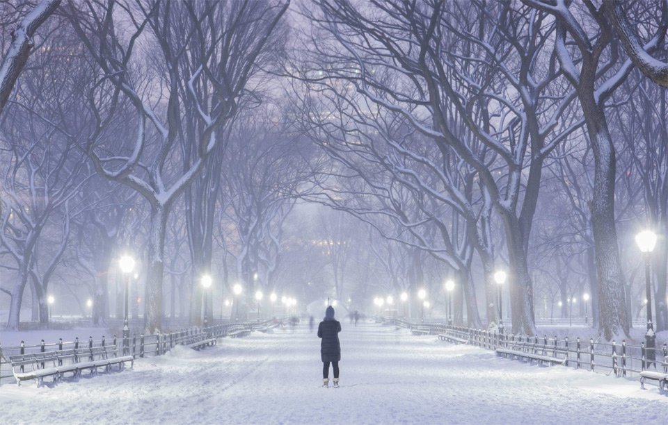 Winter At Central Park, New York