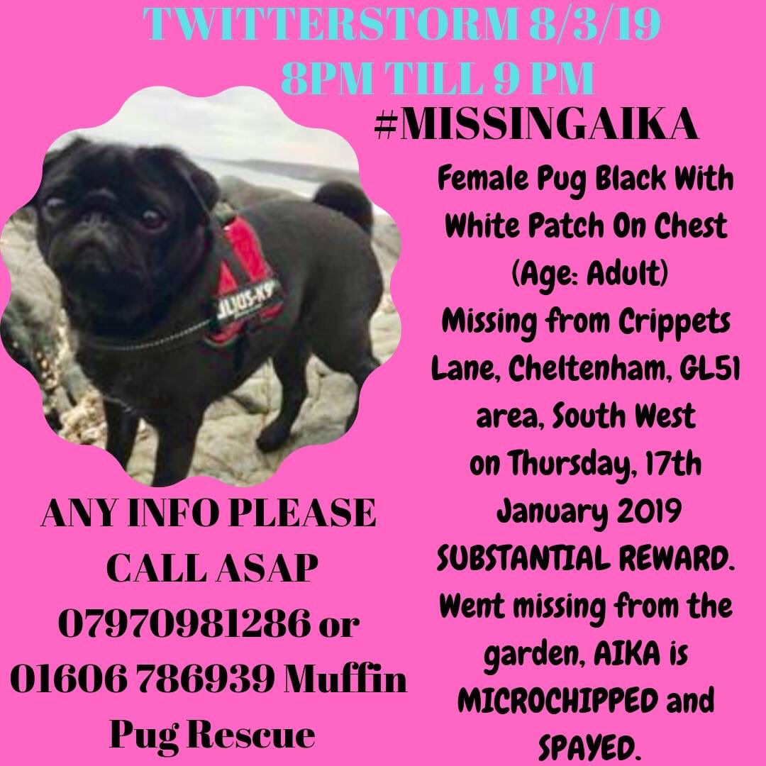 BlueFrenchie1's tweet photo. WHERE IS AIKA PLEASE?π#missingaika https://t.co/x0z20sUPCR
