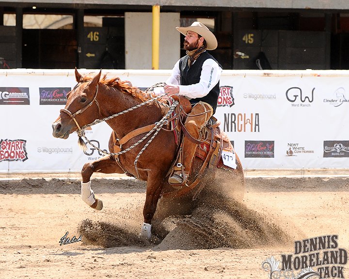 DmtackT's tweet photo. A California hackamore has 3 parts: the noseband (bosal), the headstall or hanger & the mecate (McCarty). Traditional bosals are built in a variety of diameters...read Intro to CA Hackamores (Bosals): https://t.co/yFN3pwWBl0
#tacktips #tacktalk
photo: Matt Koch & SDP Blue Blood https://t.co/lLSYtpFcfM