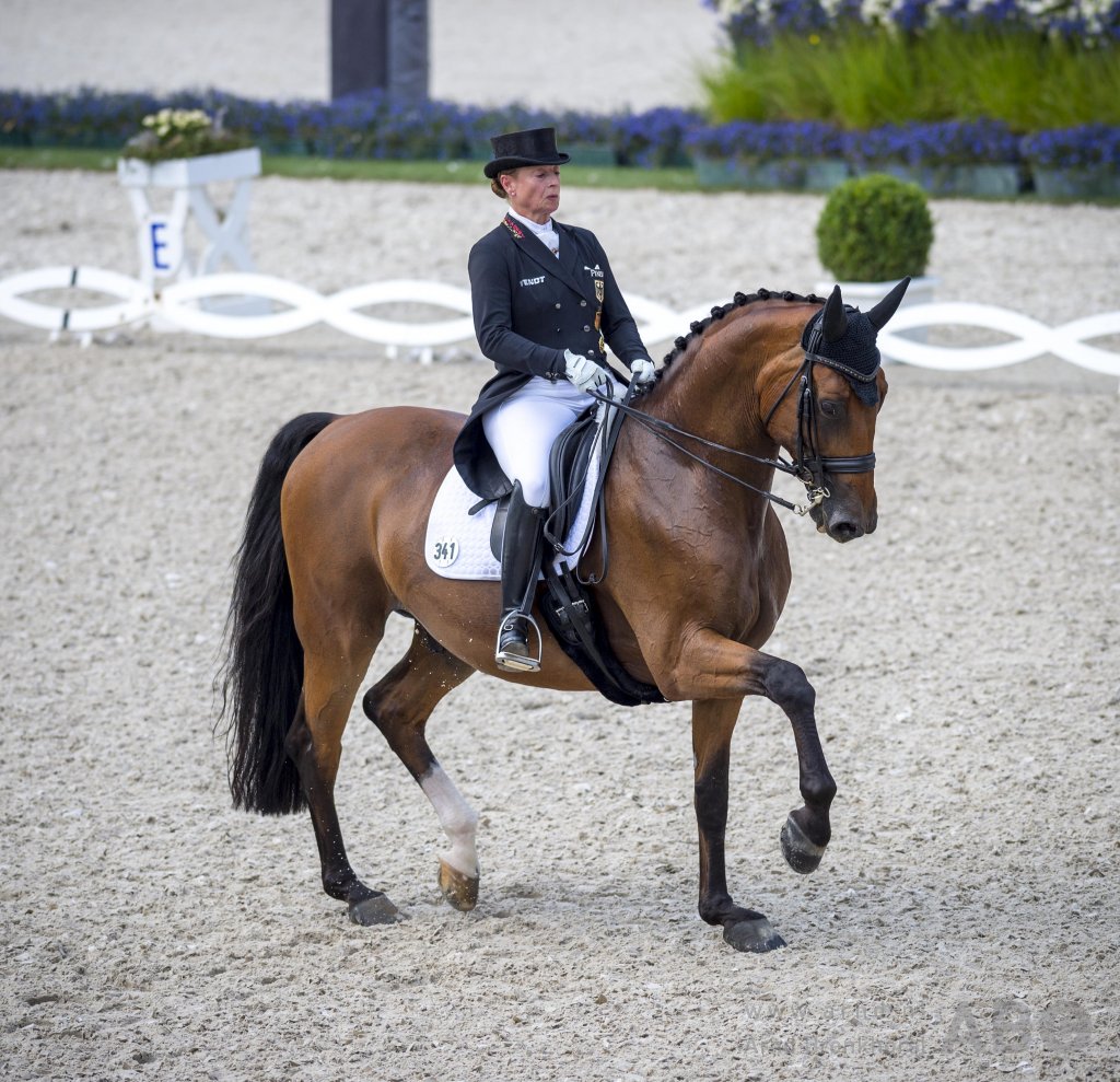Nieuws -  CDI DortmundWerth kwam, zag en overwon in Grand Prix Dortmund dlvr.it/R0SvCZ