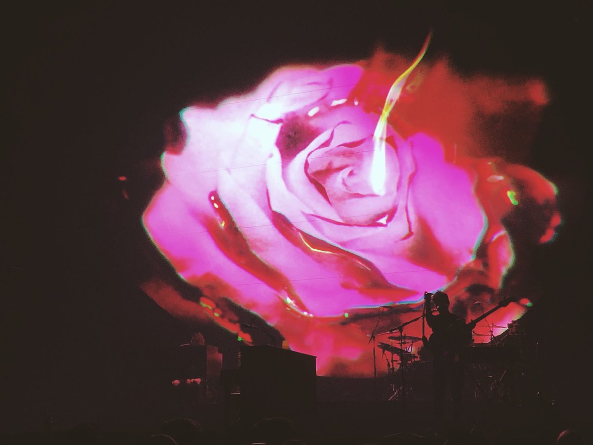 Those visuals, I’m in love #ShawnMendesTheTourAmsterdam