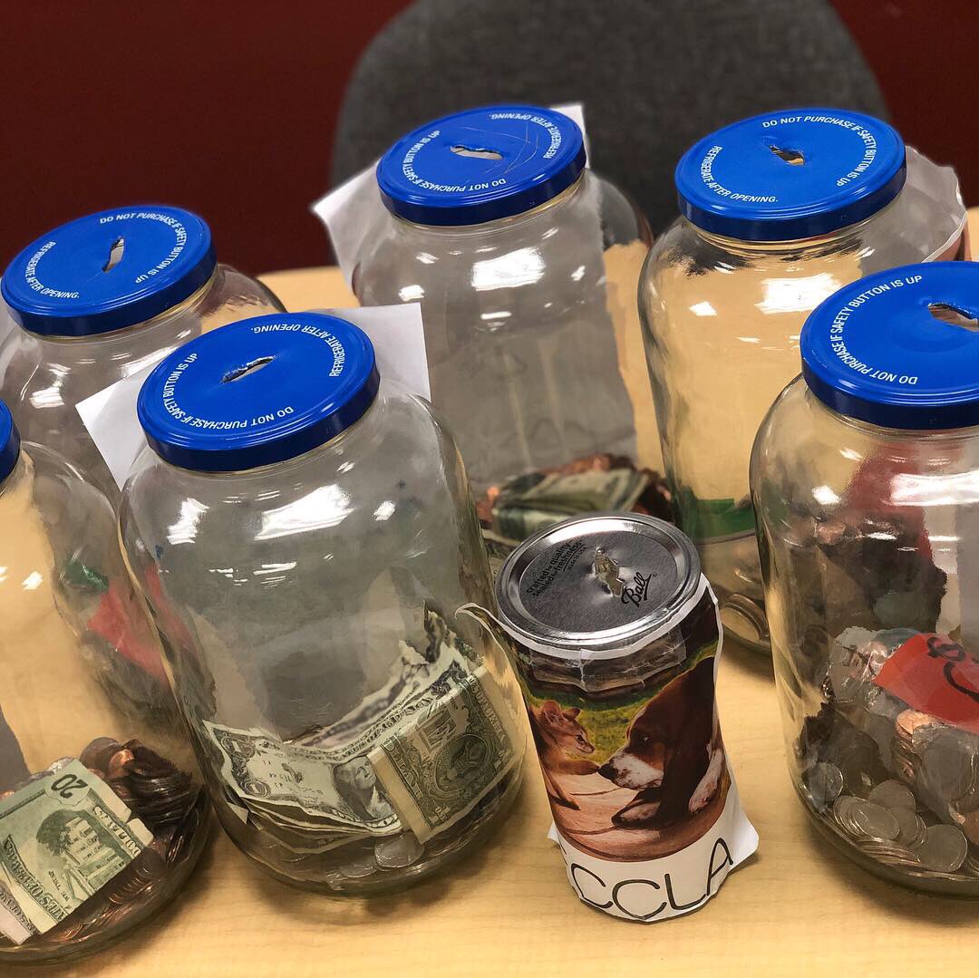 ValleyViewFCCLA's tweet photo. Awesome 1st week in our penny war to raise money for the NEA Humane Society!!  Over $250 so far!!  Keep up the good work!!! https://t.co/4wX3sDhv5S