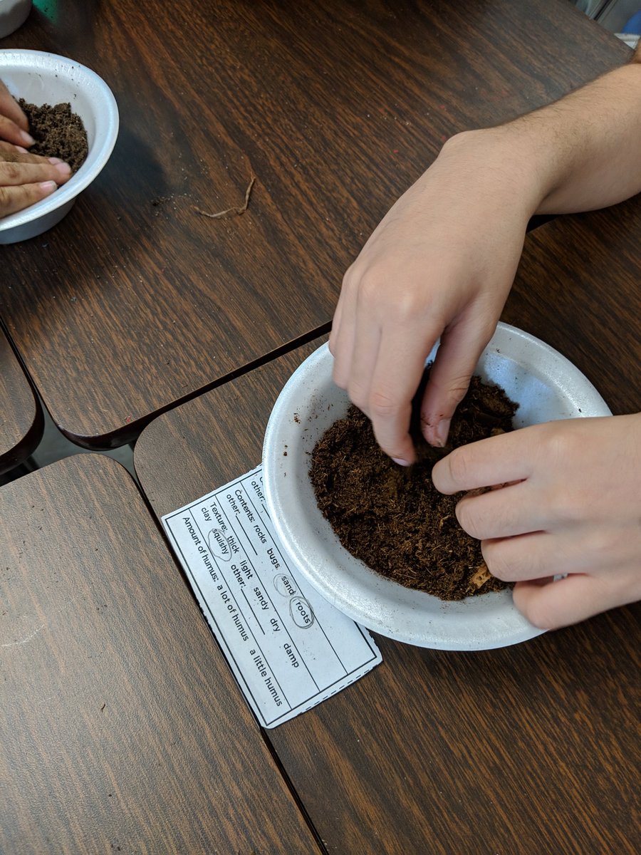 In third grade we are sinking our hands in and learning about soil <a href="/NISDKallison/">Kallison Elementary</a> #LeadtheCharge