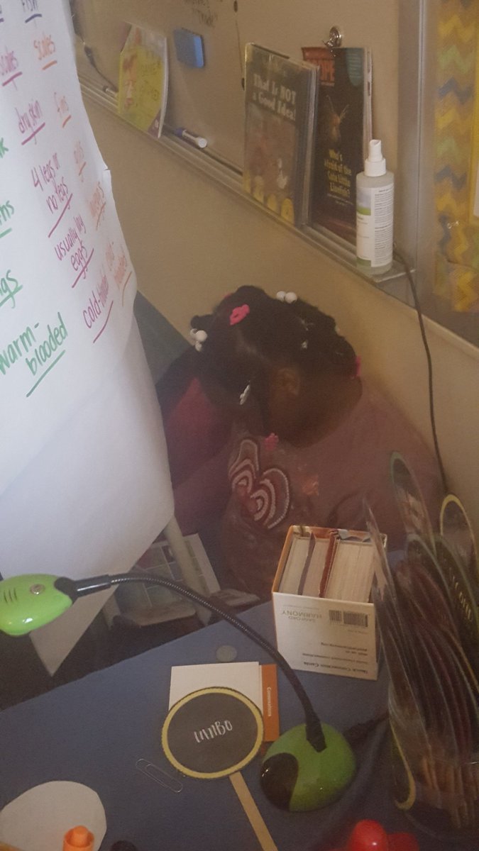 nelsonsnook104's tweet photo. What better way to end the day than snuggled up with a good book! #caughtreading #secondgraderocks @Killian_STEAM https://t.co/ZQkLXYmevW