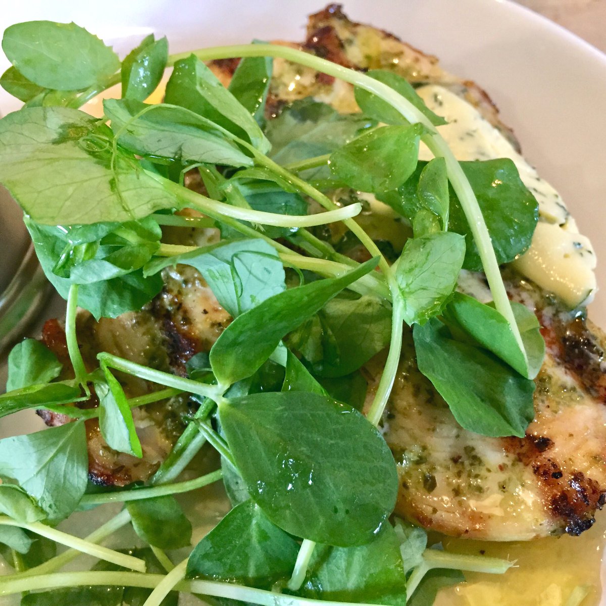 𝙽𝚒𝚔𝚔𝚒 𝙻𝚎𝚠𝚒𝚜 𝙿𝚑𝚘𝚝𝚘𝚐𝚛𝚊𝚙𝚑𝚢 tweet media