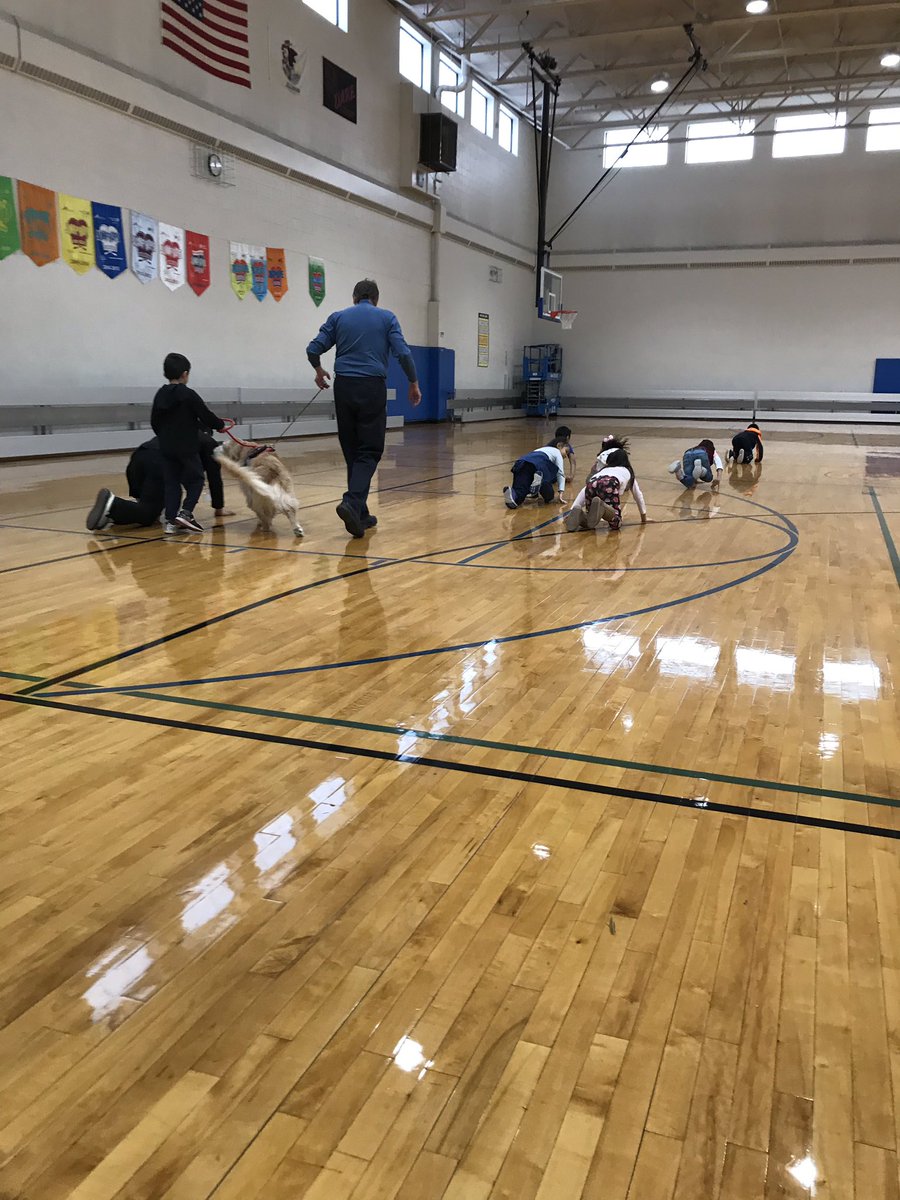 We can walk on all 4s just like Marley! ❤️#asd4all