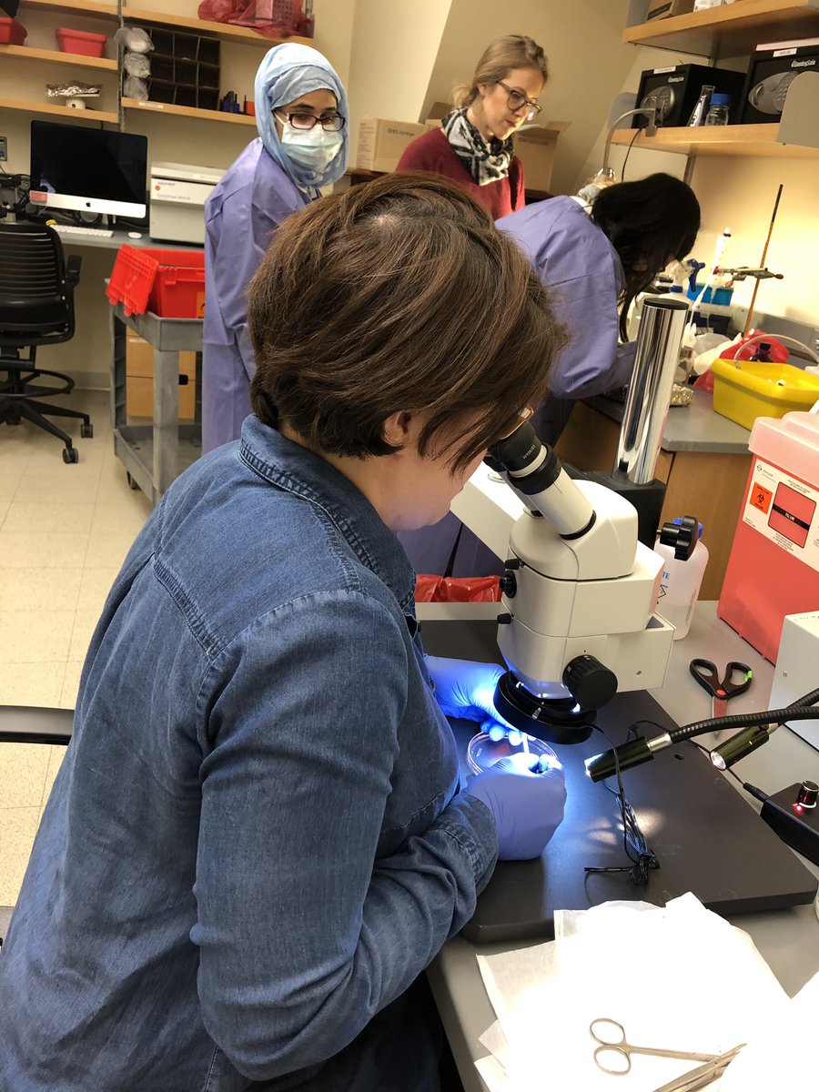 CReM_Boston's tweet photo. Acknowledging the amazing work the women in the CReM do not just today, but every day. #InternationalWomensDay #womeninscience #wearetheCReM https://t.co/POSxBb1rff