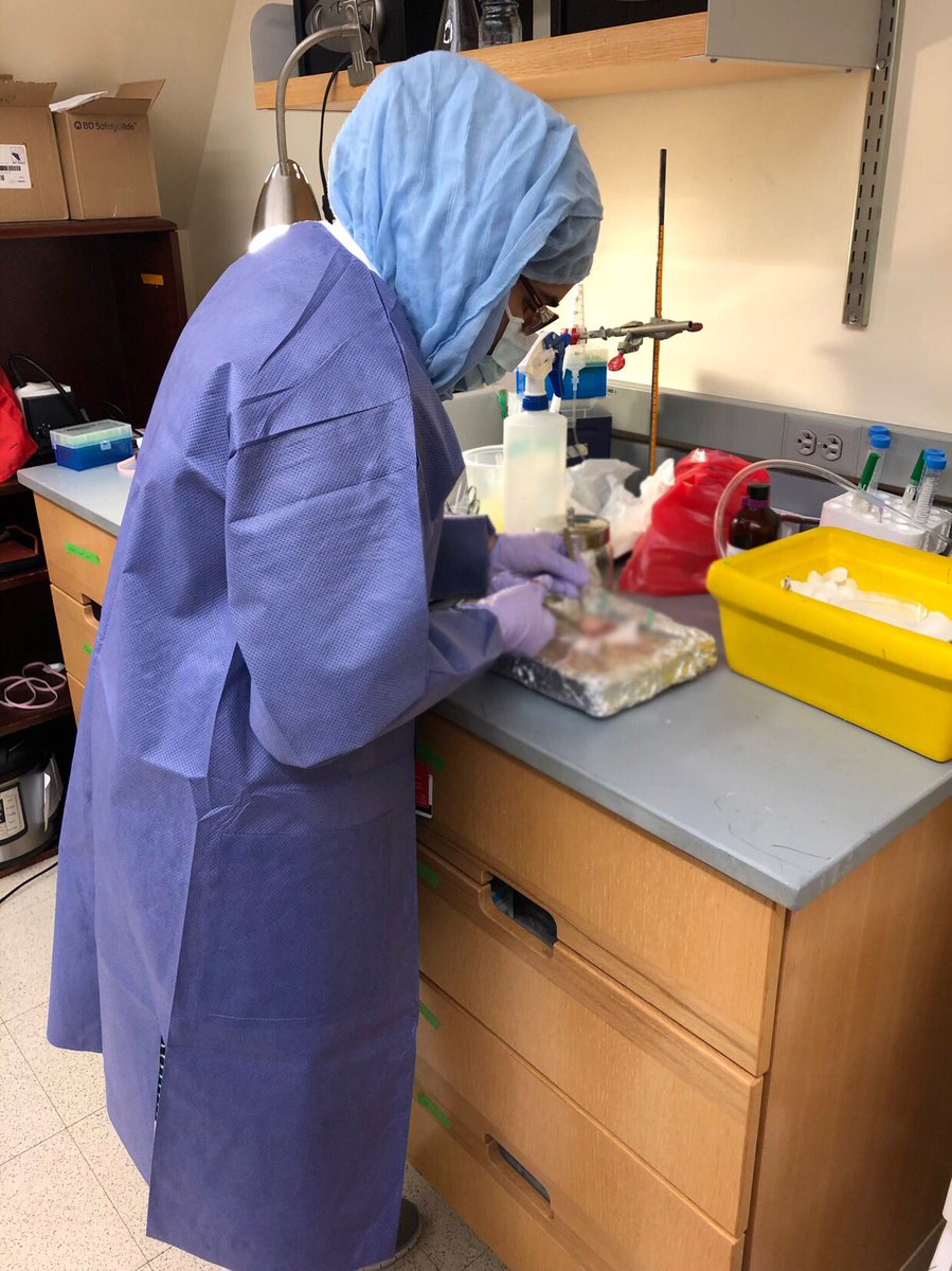 CReM_Boston's tweet photo. Acknowledging the amazing work the women in the CReM do not just today, but every day. #InternationalWomensDay #womeninscience #wearetheCReM https://t.co/POSxBb1rff