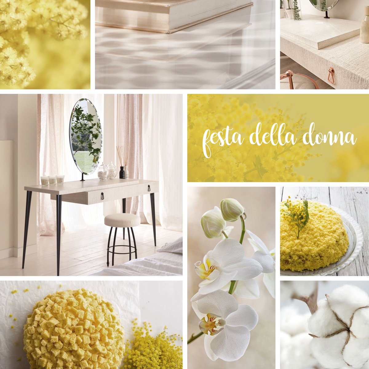 diotti_com's tweet photo. 🌼 Viva le Donne!!! 🌼 Oggi e tutti gli altri giorni dell'anno! #festadelladonna #8marzo #IWD2019 https://t.co/KUMWxI6bzs