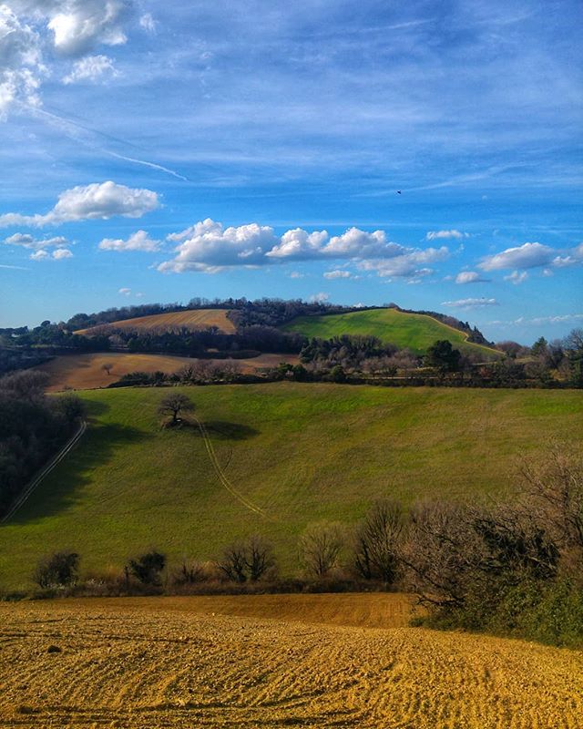 CristianoVampa's tweet photo. Venerdì pomeriggio diverso!
Di corsa per il San Bartolo.
▫️
▫️
#iocorroqui #runlovers #loverunning #istarunners #run #running
▫️
▫️
#parcodelsanbartolo #igerspu #igersmarche #destinazionemarche #marche https://t.co/qQ7jL4euED https://t.co/i0De1vNWPF