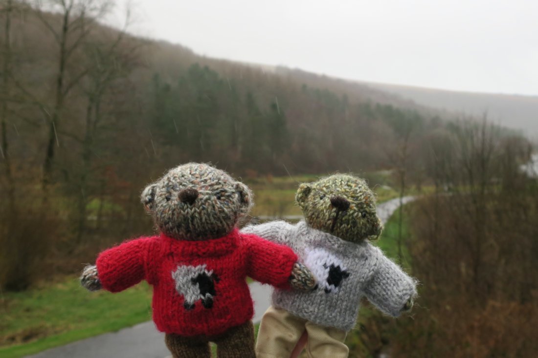I went to the park with my new brofur Ambrose. It was a bit rainy but we didn't mind. Ambrose is a good sport. 

theknittedbearcompany.co.uk 

#FromPenrose #FurryTails #KnittedBears <a href="/ToddyFur/">Toddy Furrington</a> @Bears1Diana @Warmnwoolly