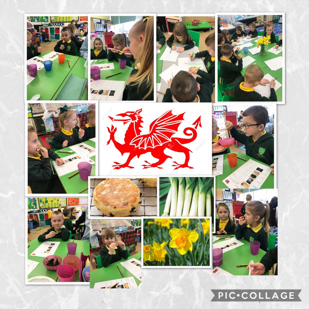 CGPrimary's tweet photo. What a busy week it has been! Class 2 have been tasting and describing Welsh foods, creating observational drawings of daffodils and performing Welsh songs. Da iawn! #CGPWLD #CGPCD ✍🏻🌼🏴󠁧󠁢󠁷󠁬󠁳󠁿🎶 GD https://t.co/jpfRHObXQ8