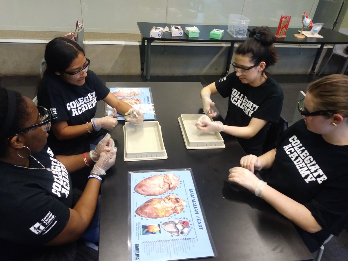 MathBerts's tweet photo. @GCCA_PHX dissecting sheep/lambs @PerotMuseum #KickinItWithCollegiate @vane65274636 https://t.co/nmJVikqsR4