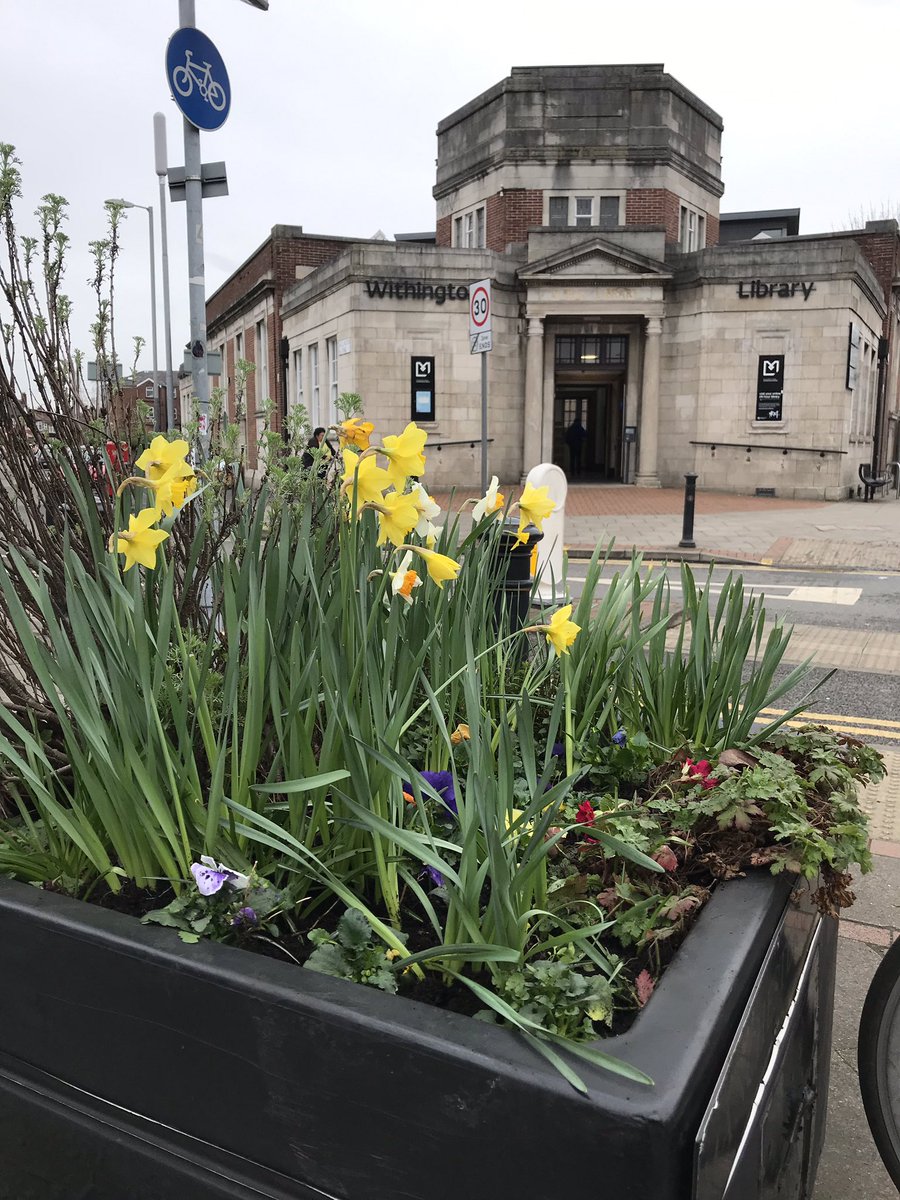 greeney_eyes's tweet photo. Withington planters looking colourful #CGs #volunteers #lovewhereyoulive #rutherfordsquare #withingtonlibrary https://t.co/5TXAwacGnW