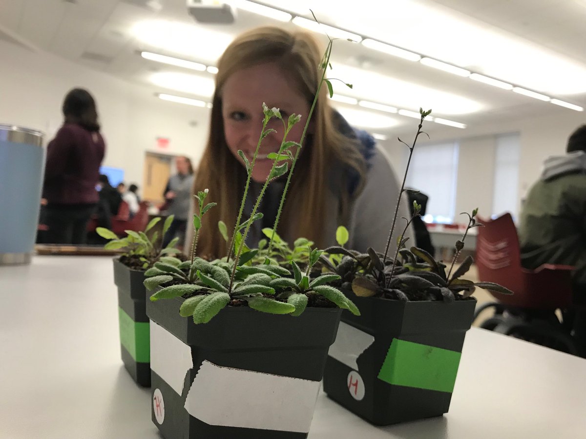 Glenda Gillaspy tweet media