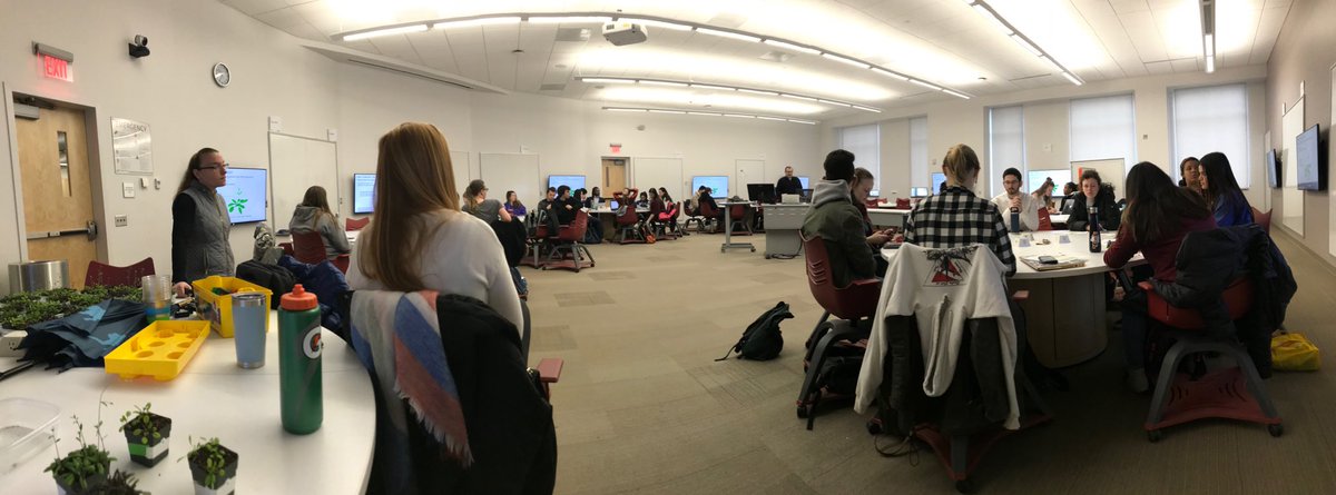 Glenda Gillaspy tweet media