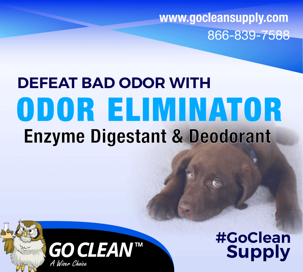 Odor Eliminator digests and eliminates odors caused by spoiled food, vomit, urine, mold, mildew and other organic soils. Works on all hard surfaces as well as carpets and upholstery.
gocleansupply.com
Telephone: 866-839-7588
#GoCleanSupply