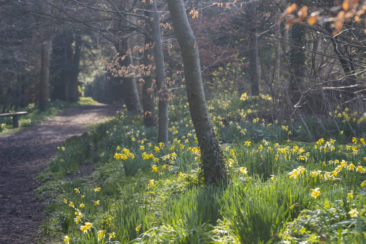 National Trust tweet media