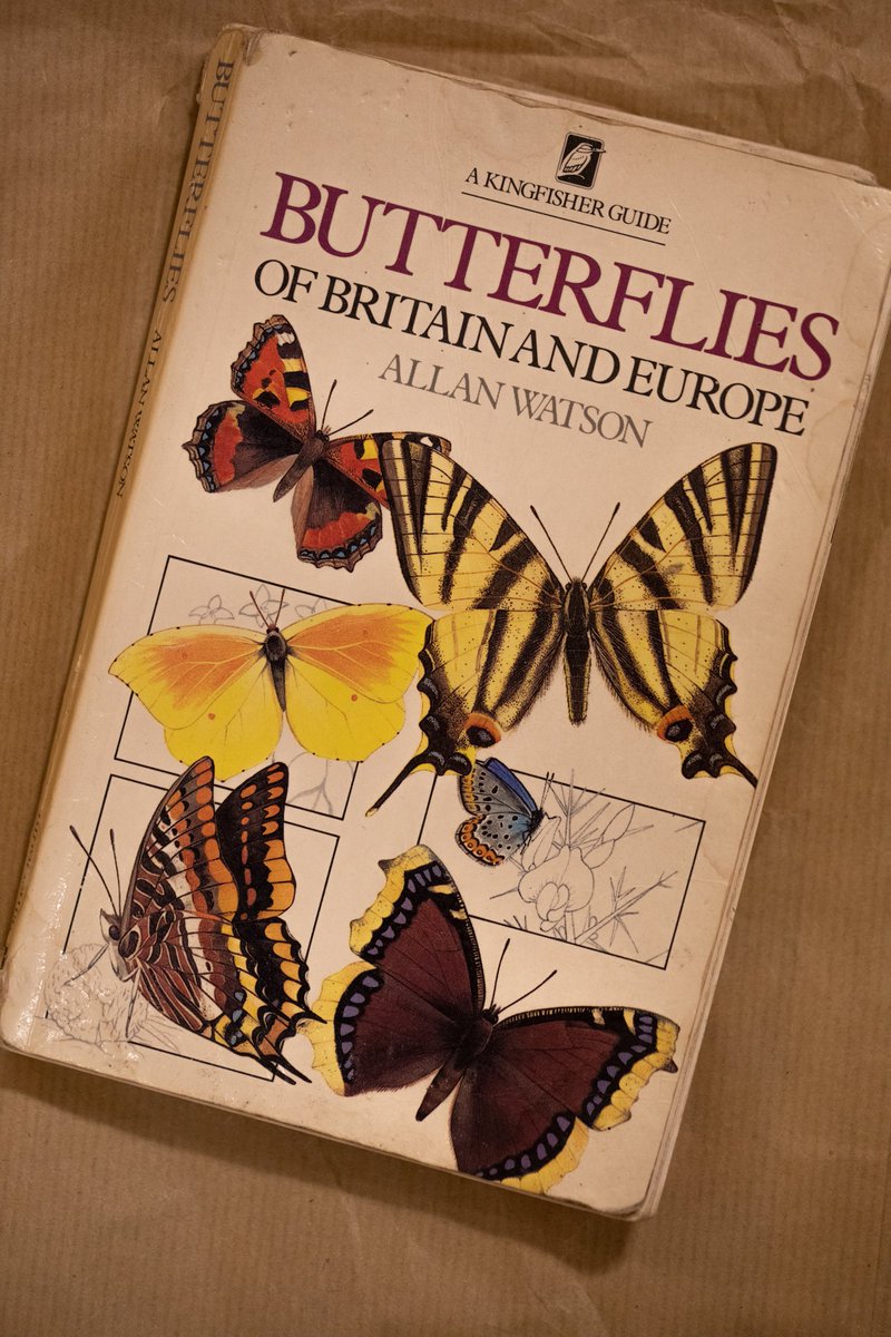 Butterfly guide FOUND TODAY by the meadow. Get in touch if it's yours and we'll get it back to you!