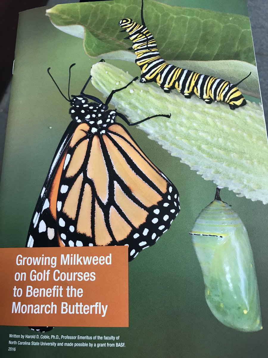 ShaneRice33's tweet photo. Mrs. O’Brien and @spiwak70 picking up some plants for the Monarch butterfly/pollinator garden at the 15th tee on the West Course of @EastpointeCC! A walking path and native stones will be included. We are super excited about this project. @BASFTurf_us @AudubonIntl https://t.co/eDTBfwVo4O