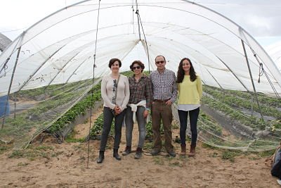 Ecovalia's tweet photo. Visita de seguimiento a los sensores de riego en los cultivos de fresa ecológica de la empresa Flor de Doñana Biorganic del proyecto Grupo Operativo Huella del Agua en Producción Ecológica. @cei_A3 @co2consulting @Univcordoba @MedioAmbAND @flordedonanabio https://t.co/VPlgfXzVRN