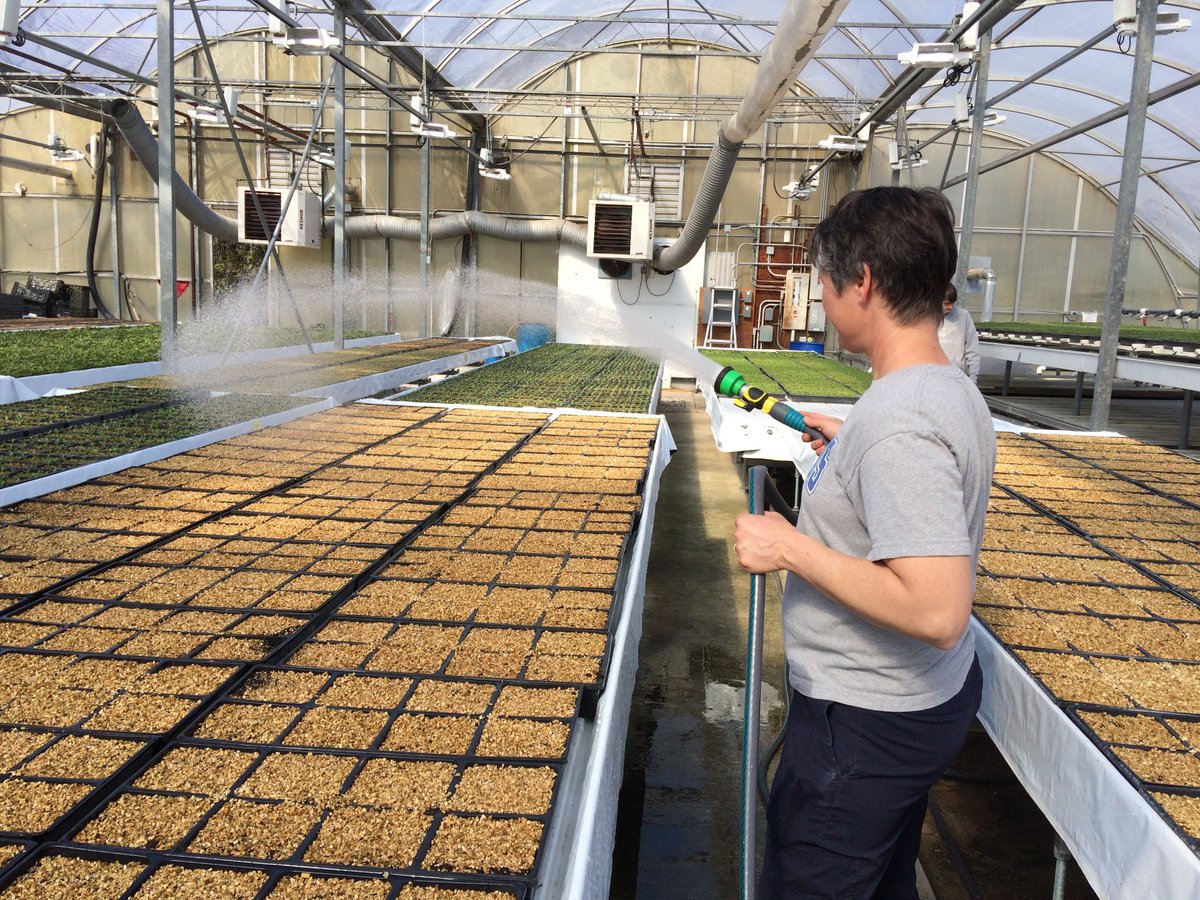 Happy International Women's Day! We have many strong, fierce, beautiful and funny that work with us here at Sleger's.  #womeninagriculture #wearestronger