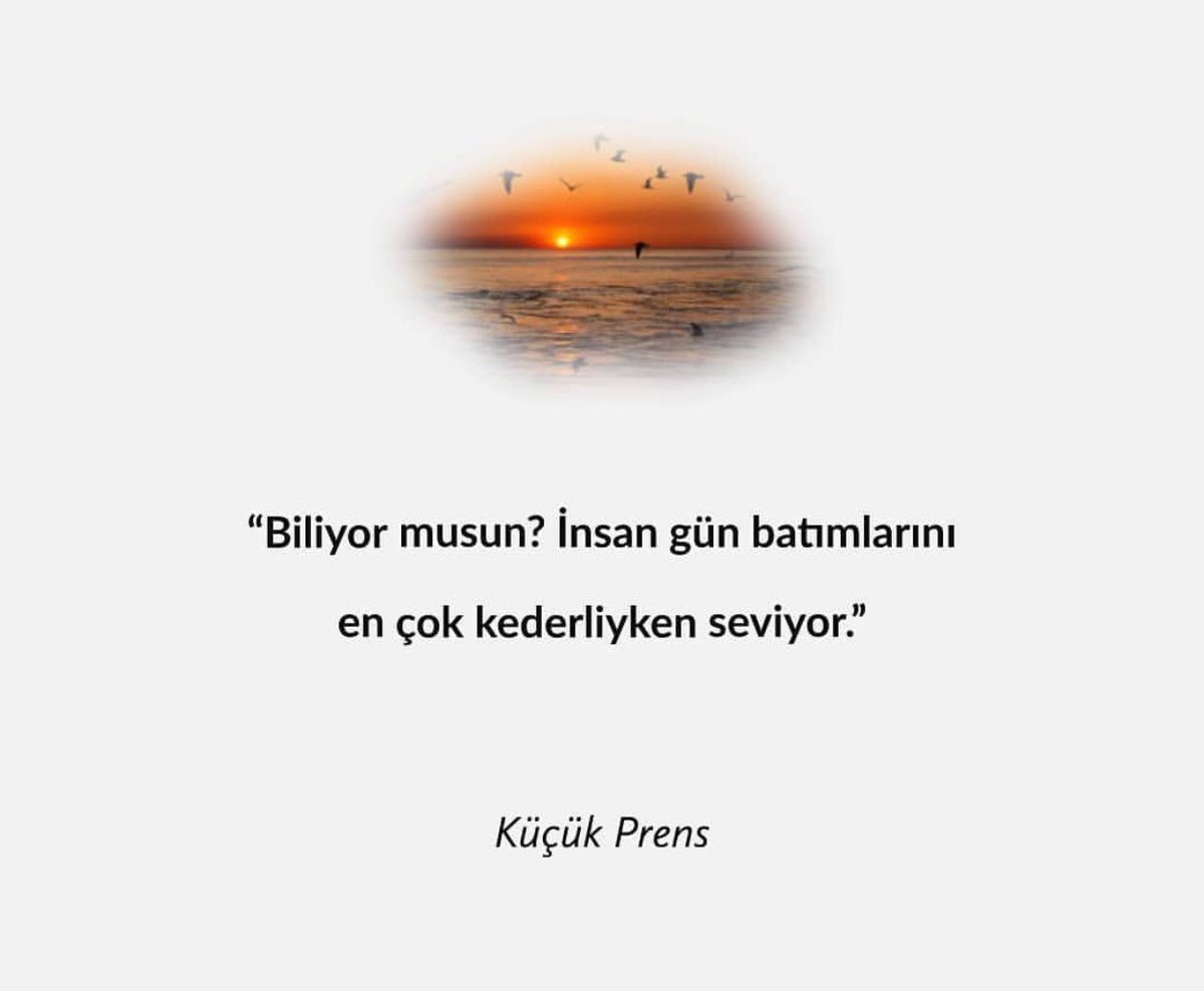 Gökhan CEVİZCİ (@thecevizci) on Twitter photo 