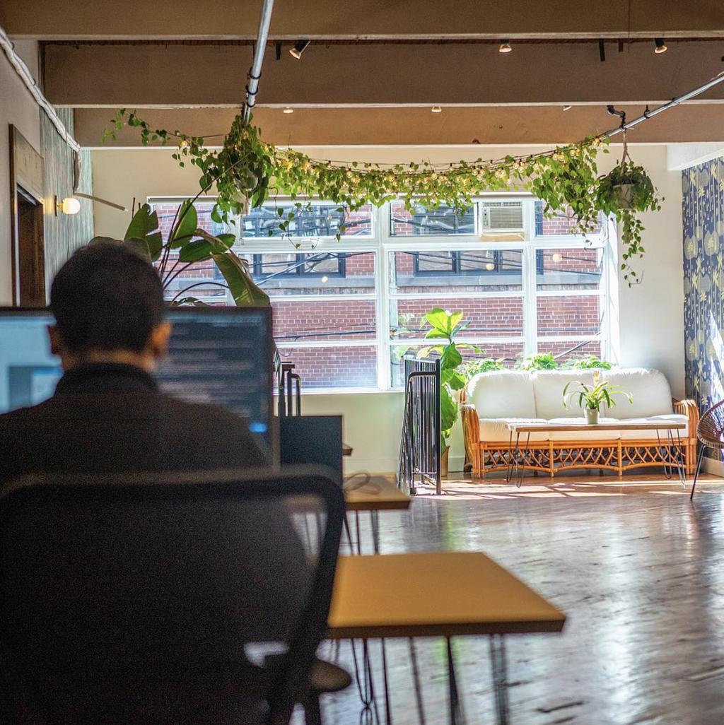 plotlygraphs's tweet image. It’s nice to see the sunshine peeking out ☀️ after all that snow ❄️ ❄️❄️❄️❄️❄️ #plotlylife more from our HQ buff.ly/2A5lze3