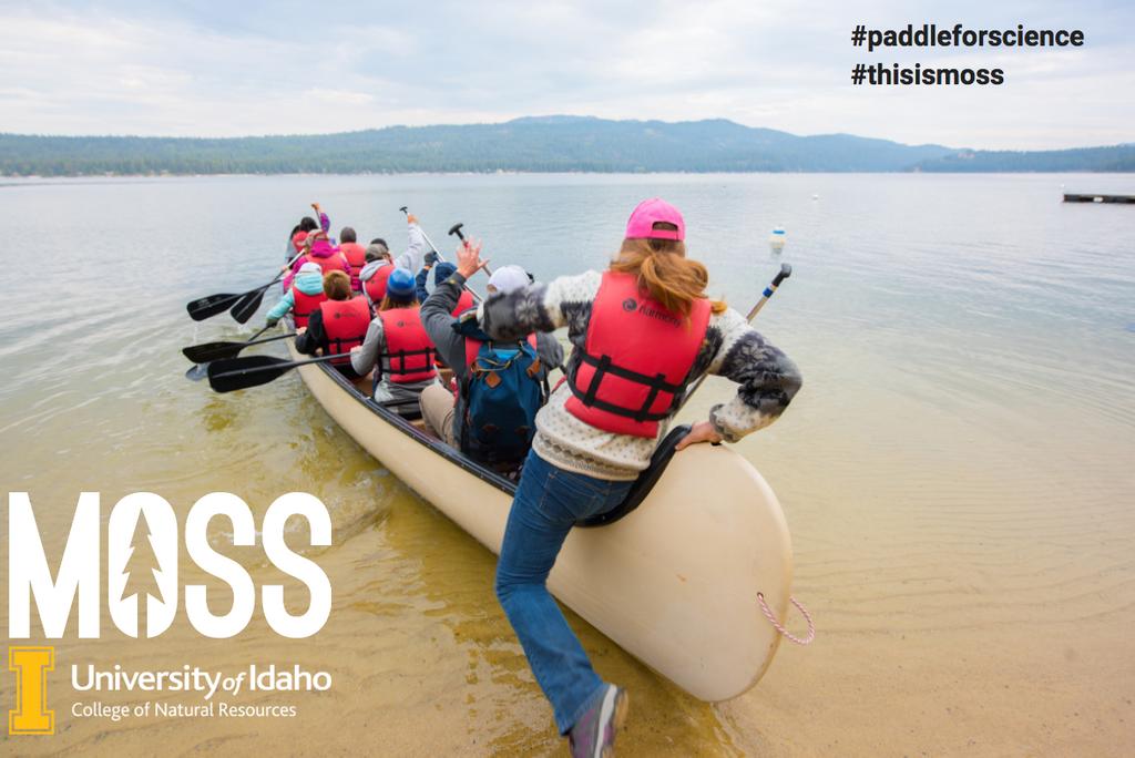uidahomoss's tweet photo. BIG NEWS!  We are halfway to our crowdfunding goal of purchasing a second Clipper Canoe. Share this post, tell your friends, or visit our webpage to give your support. https://t.co/Rsb3qwsjE3
#thisismoss #paddleforscience #clippercanoes #payettelake #outdoorscience @uidahocnr https://t.co/vhHtv63MzH
